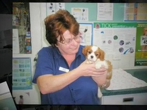 Sutherland Vet | The Best Vet in the Sutherland NSW Region