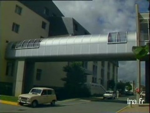 Une chienne retrouve ses maîtres en parcourant des kilomètres !