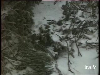 Un couple survit à une tempête de neige pendant 6 jours