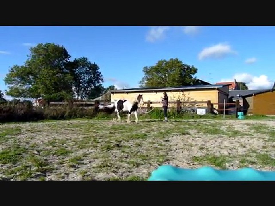 Séance etho Ulky le 16/10..Suite ET Fin...