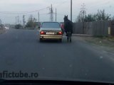 Stranezze stradali: cavallo al guinzaglio