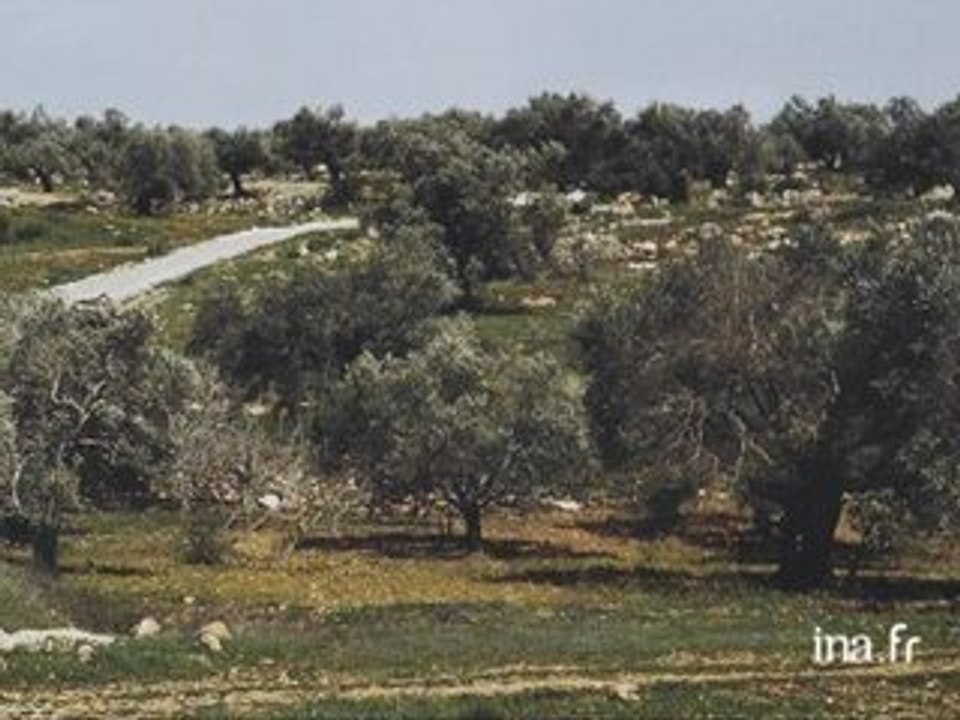 Portraits de femmes artistes : Sophie Ristelhueber