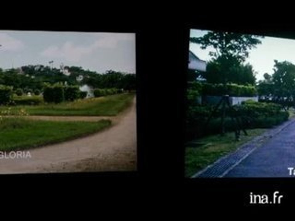 Portraits de femmes artistes : Dominique Gonzalez-Foerster