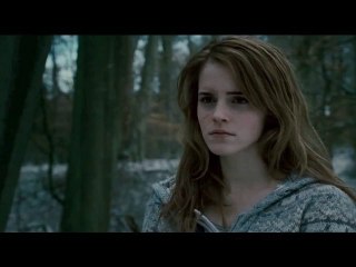 Harry Potter et les reliques de la mort - Spot TV #8 [VO|HD]