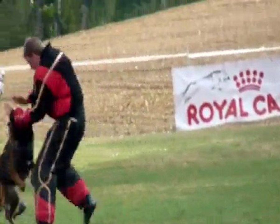 Ulhan du muscher échelon 3