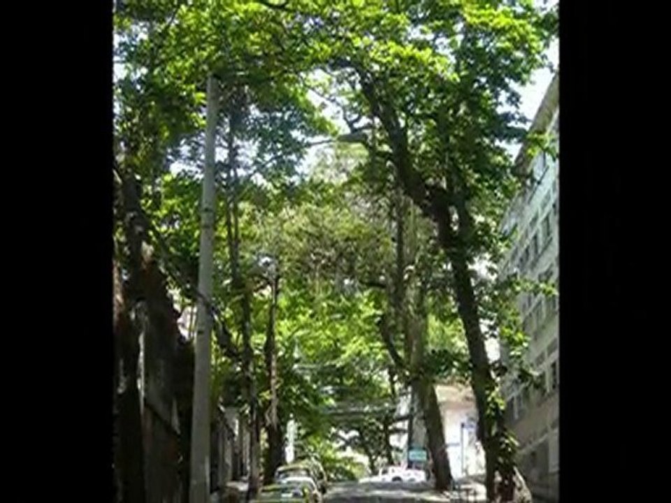 Mon film Argentine part2