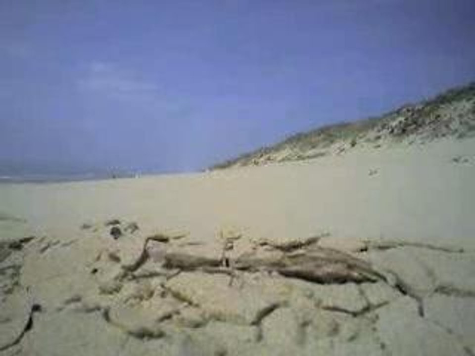 Un morceau de plage