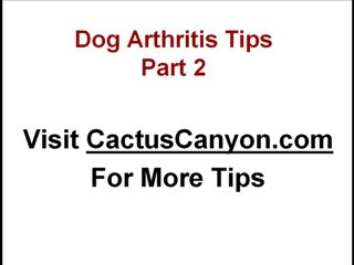 Dog Arthitis Symptoms: What To Look For