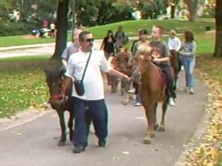 les jumeaux qui font du poney au parc longchamp a marseille