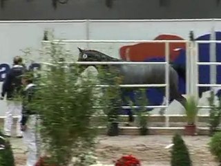 Up'Sillon du Lys à St Lo 2010