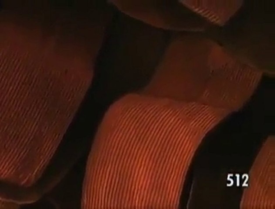 Kelebeğin Kanatlarına Onbinlerce Zoom Yapılıyor!