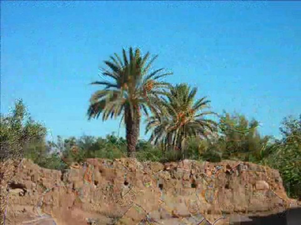 zaouit sidi ahmed séjour octobre 2009 TAMOUNTE