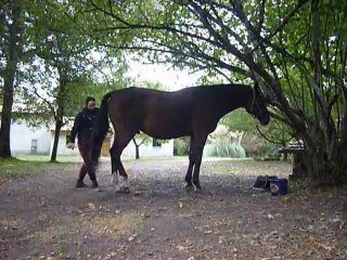 19102010 Galant curage pieds, Shivering?