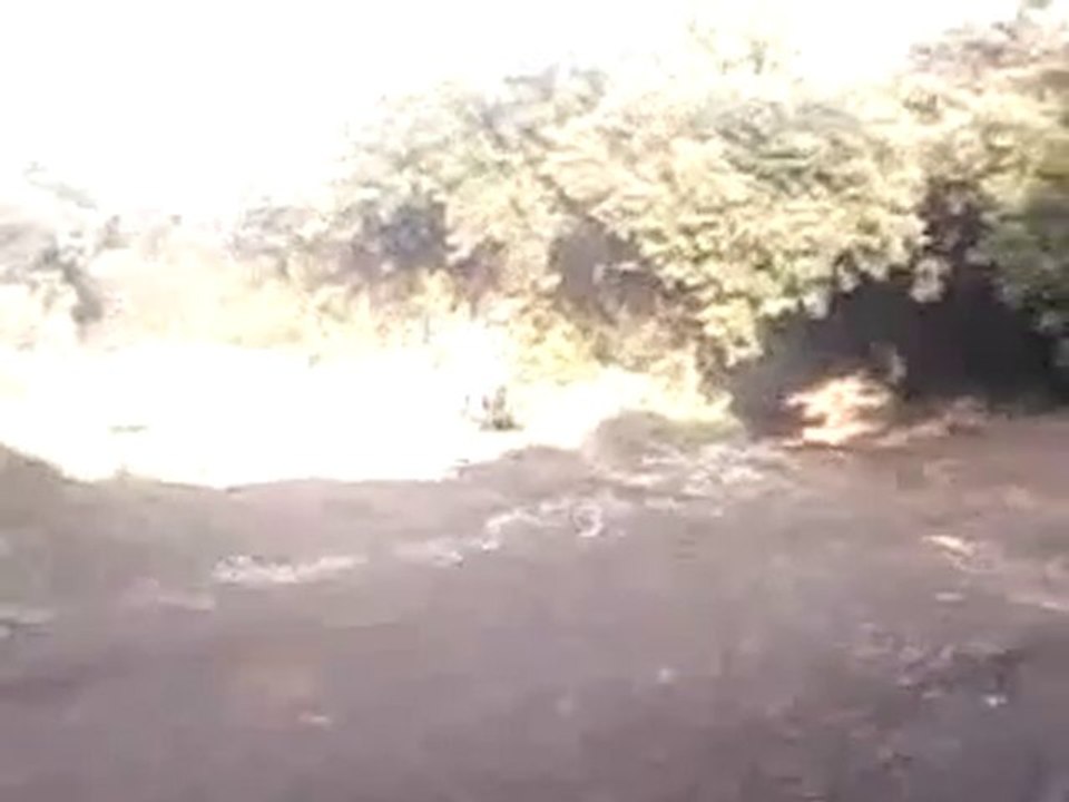 OUAIS !! Malgache !! 250 cr