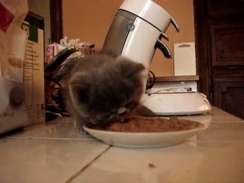 Figaro dévore