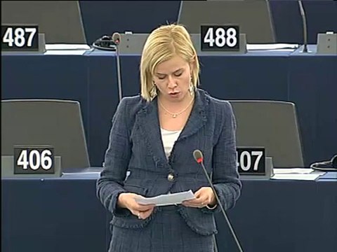 Riikka Manner on 2011 draft budget