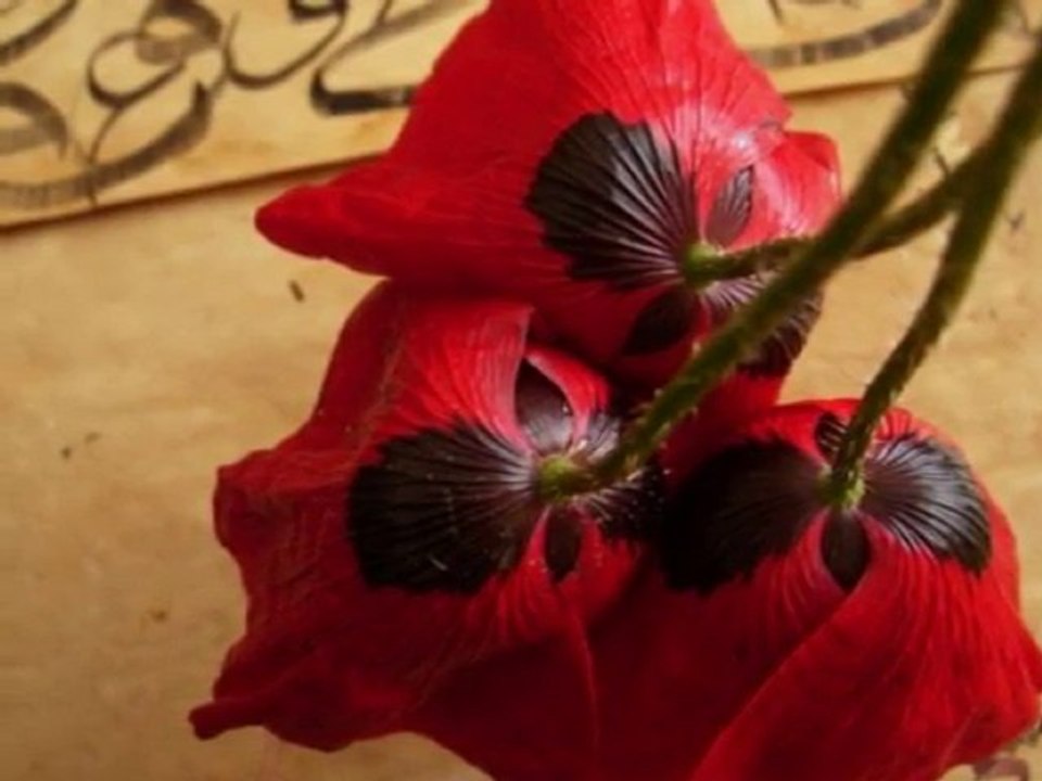 İbrahim Erkal - Kahretsin Aklımdasın