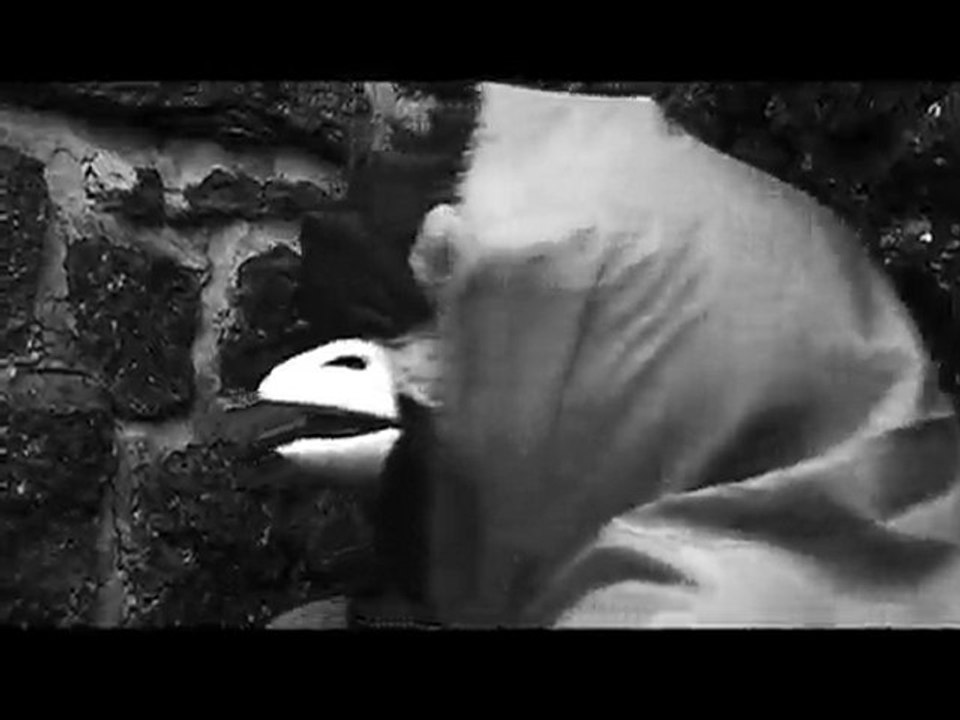 le coq de l'Ermitage