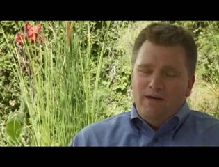 3D Films Just Aren’t the Same in 2D