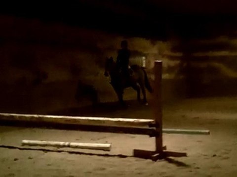 Jackson Oct 19th 2010 - trot and galop sans etrier -1