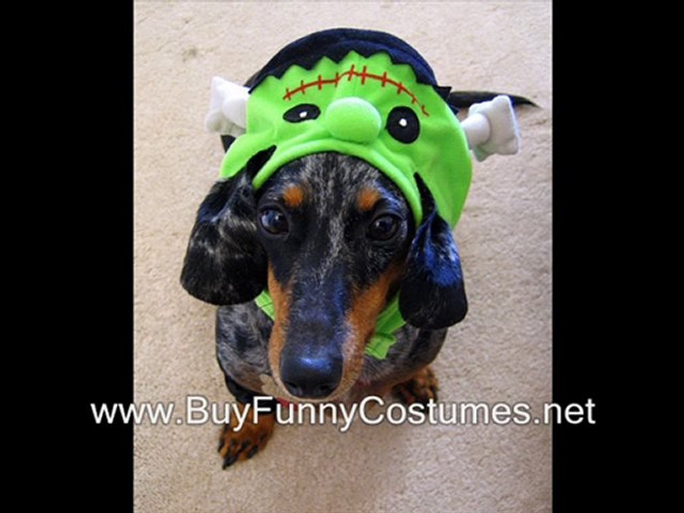 halloween constume fancy dress glasgow