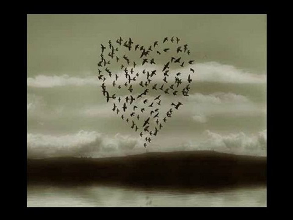 Öyle Bir Zamanda Gel Ki... ( Tunahan TÜRK )