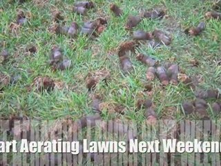 Easily Learn to Operate a Plug Aerator & Start Your Lawn Aeration Business 🚜