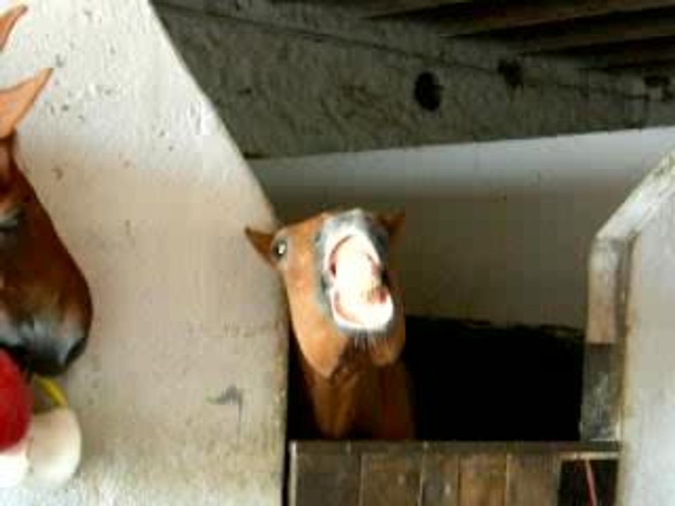 DSCN0458