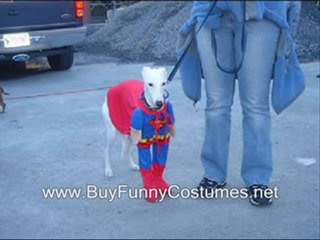homemade halloween costumes for kids