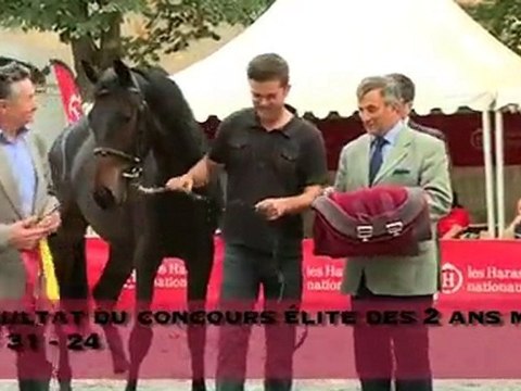 Les résultats du concours élite anglo-arabe de Tarbes