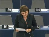 Adina-Ioana Vălean on Sludge catastrophe in Hungary