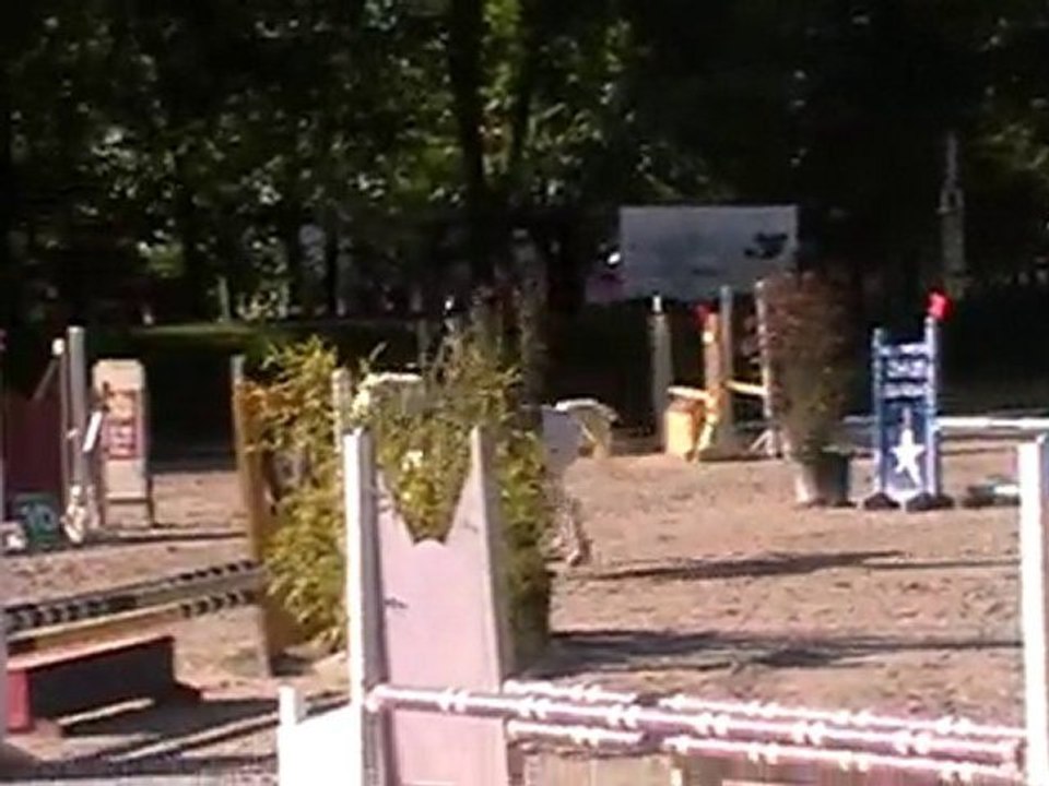 MOV003