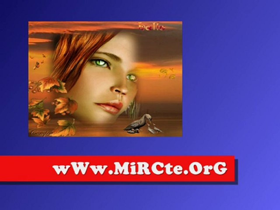 MuRaT İnCe - YaRaLı CeYLaN