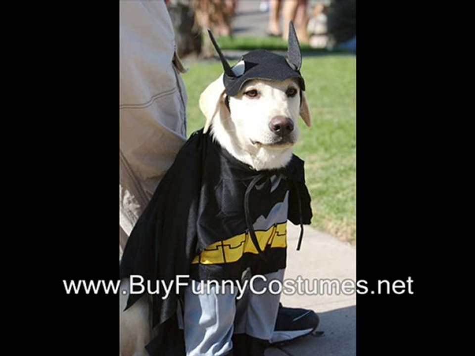 halloween constume curly holloween costume wigs