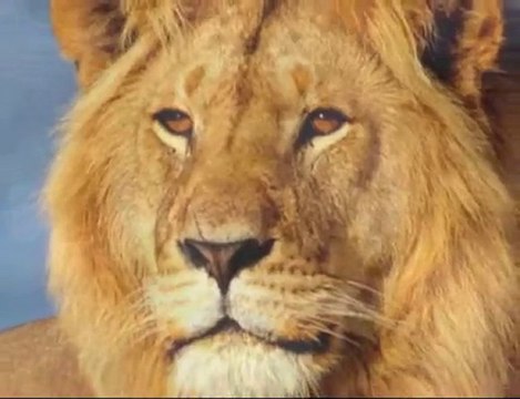 Finishing the Mysteries of Gods and Symbols