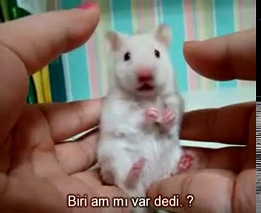 Mutlaka izle :)