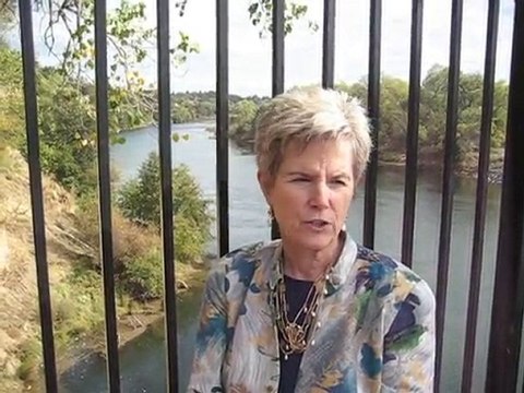 Fair Oaks Bridge Lynn Poelman Fair Oaks Realtor Lyon Real