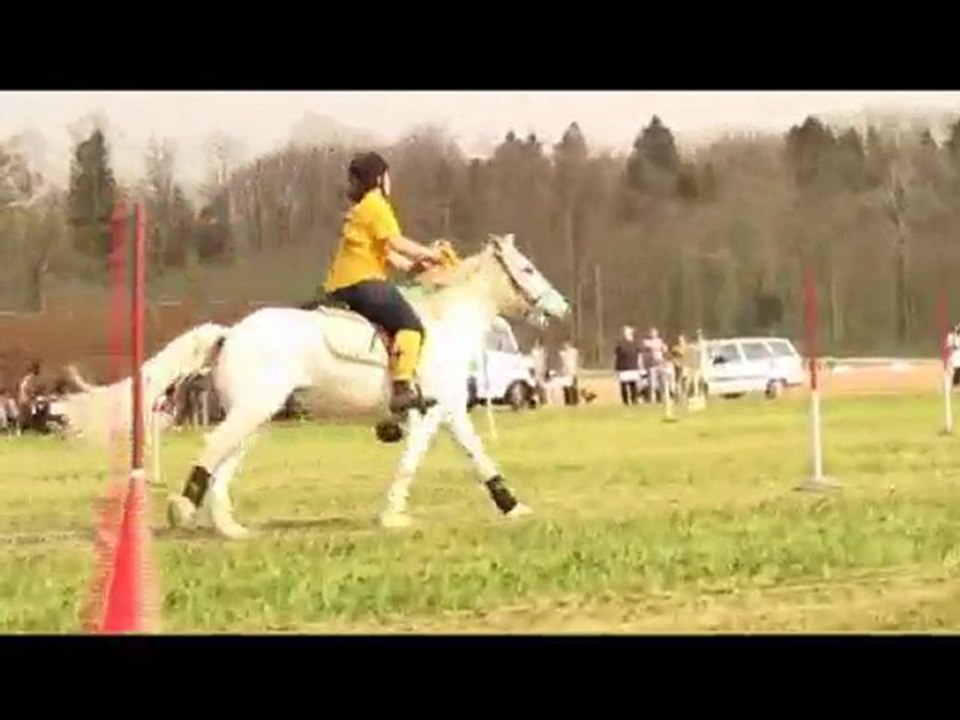 Flying Stars Bätterkinden