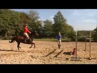 Séance d'obstacle