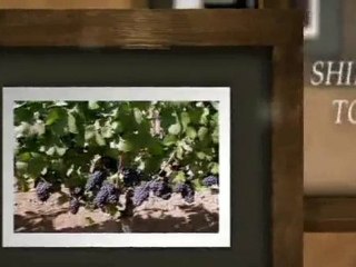Fotinos Brothers Winery - Carneros Pinot Noir