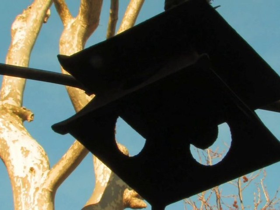 BonsaÏ