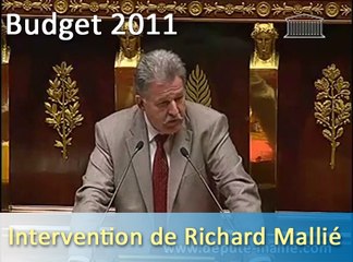 Réduction des dépenses publiques, comités théodule : intervention de Richard Mallié (budget 2011)
