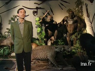 Michel Leiris : Miroir de l'Afrique