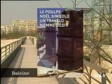 [Noël Simsolo : le poulpe, un travelo nomme désir]