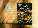 Ray Loriga : Tombés du ciel