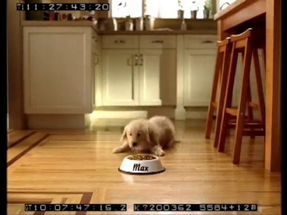 Purina Dog Chow Commercial: Outtakes with Max the Dog