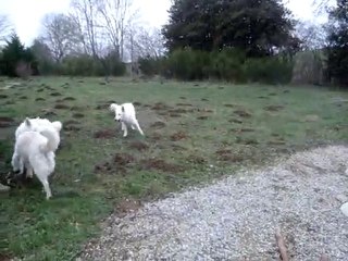 Journée du 26 décembre 2009 Eishi a adopté sa famille