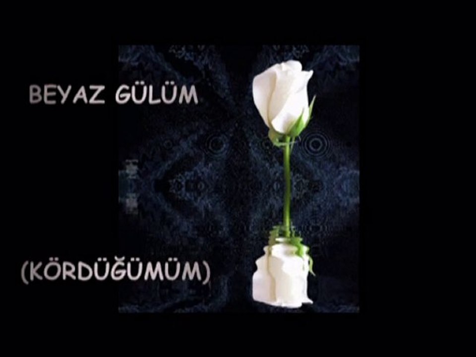 BEN TOPRAKTAN BİR CANIM!!! (KÖRDÜĞÜMÜM & SHAKESPEARE)