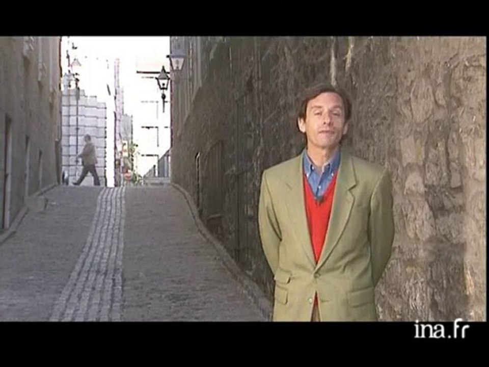 Jacques Poulin : chat sauvage