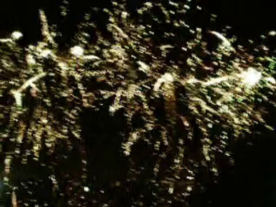 feu d'artifice des vendanges de Montmartre 2010